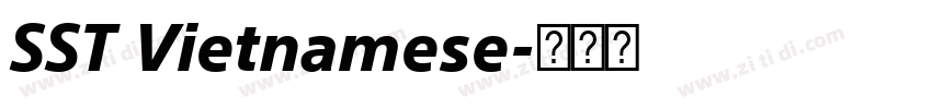 SST Vietnamese字体转换